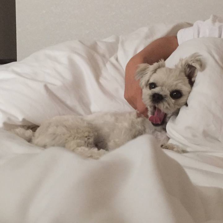 Aeec159d 6563 4741 96e4 053b73f837ab 1515150525221