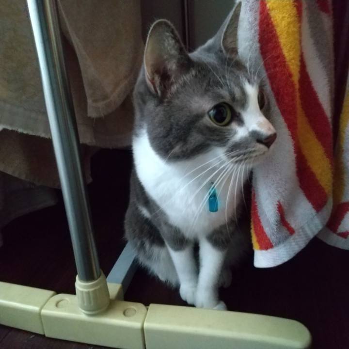 Aeec31e2 05dd 4fa0 bef9 fdc9751b4580 1637229354844