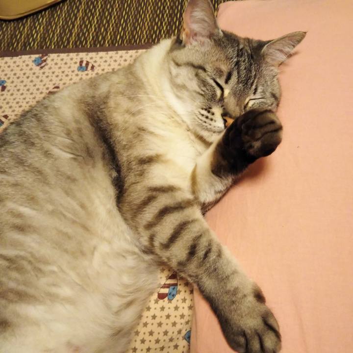 Aeec50ee efa2 44fc a306 ce179495a78a 1588779151625