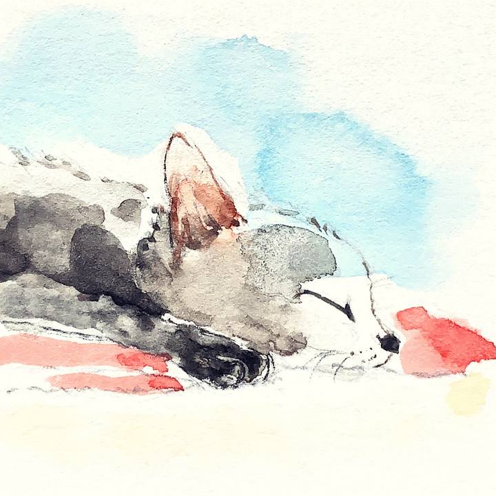 Aeec7a88 5644 4447 8144 e73a060725a1 1643756476710