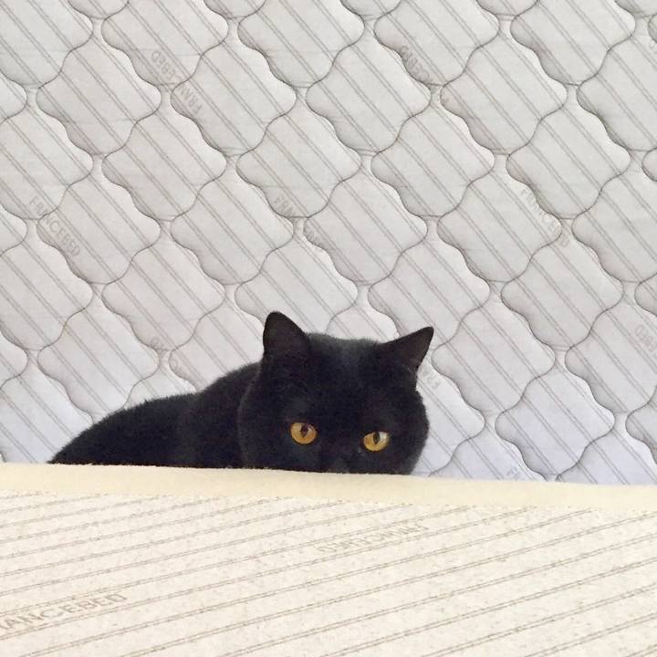 Aeec888f 26da 46fe 8e34 ba004bf164f3 1555635839634