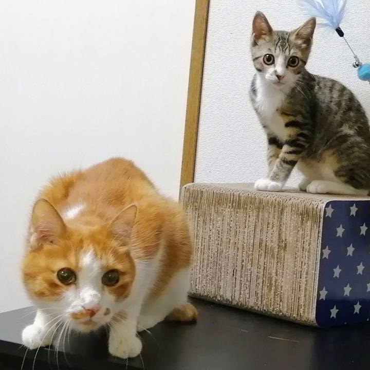 Aeec92b8 67b7 4ba1 91f5 bdf86947a2c9 1660649296471