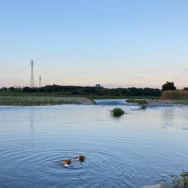 Aeed3243 d54b 4d96 a939 5ee2e3f4cfbe 1692363185775