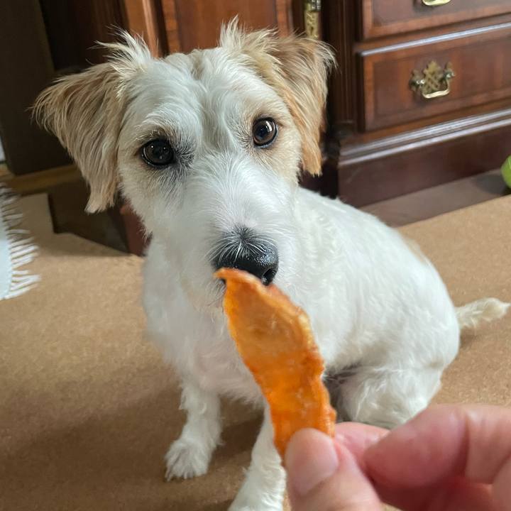 Aeed3a04 ff34 403d a428 7c9bc6c1f55c 1693979814430