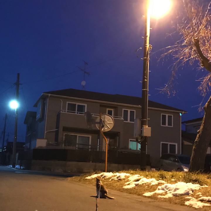 Aeed99c4 d9ef 46d2 b387 805472575894 1517828749940