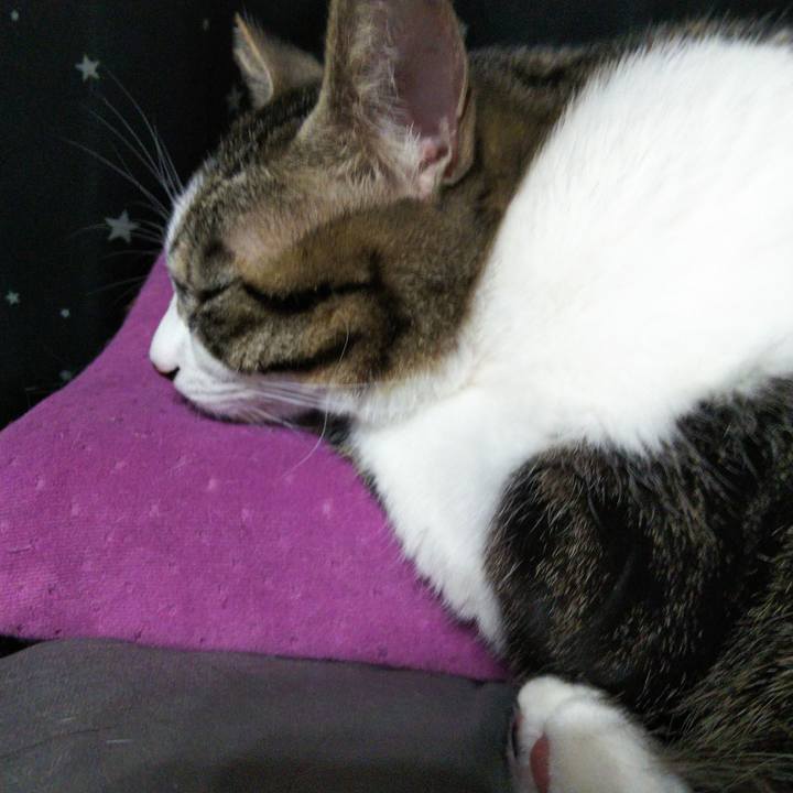 Aeedc99a 75dc 4623 81ec c9433ec940e1 1639049819807