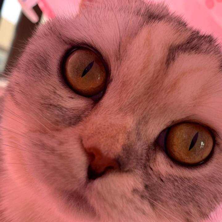 Aeedf6c3 c878 4ef5 97d8 c1afe590e417 1707608461357