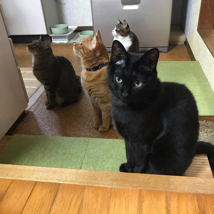 Aeedfed4 6ed7 4d6c a24a b8a91280d345 1525162922016