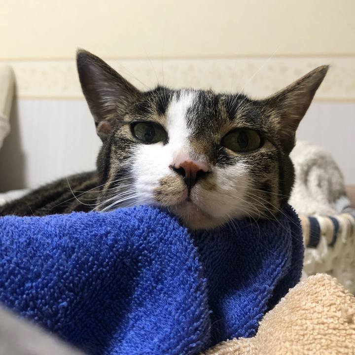 Aeee2165 094c 417b 91a9 28846273914d 1628281428510