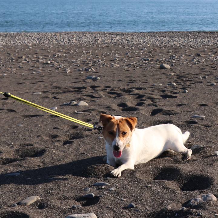 Aeee30bf 034a 4310 8ee6 5efc70dfcb12 1542435900924