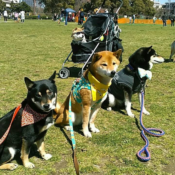 Aeee62e2 e510 4bac 9709 65ebced8fa0a 1553398003809