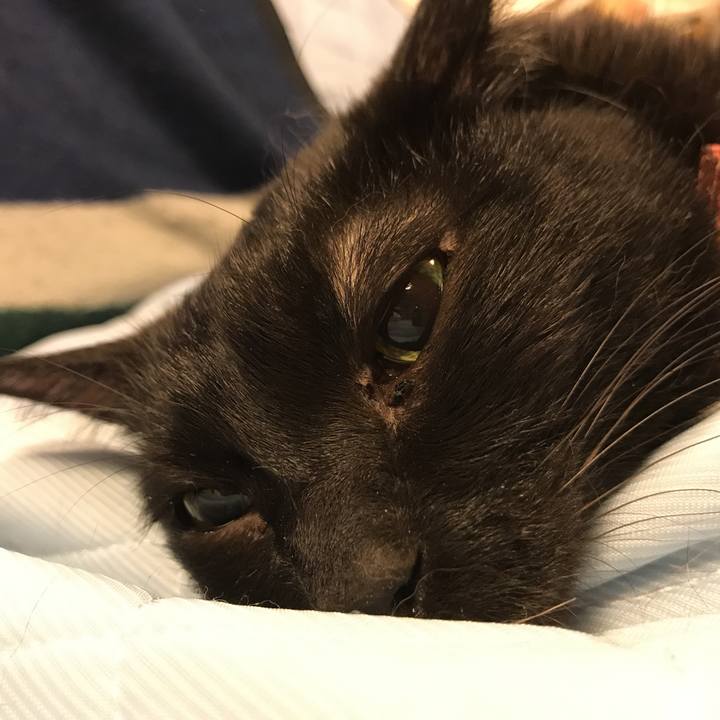 Aeee7612 5a57 4d04 8652 08b115904196 1529251447191