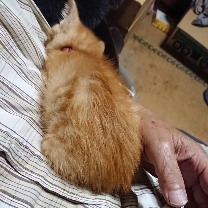 Aeee8f97 4e7d 4e7e 96fd 9bff6a18376a 1628854694384