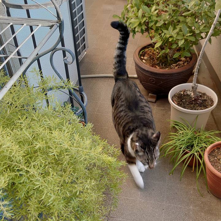 Aeeeaa3d decf 4c45 b732 c0ada7dee281 1703931265880