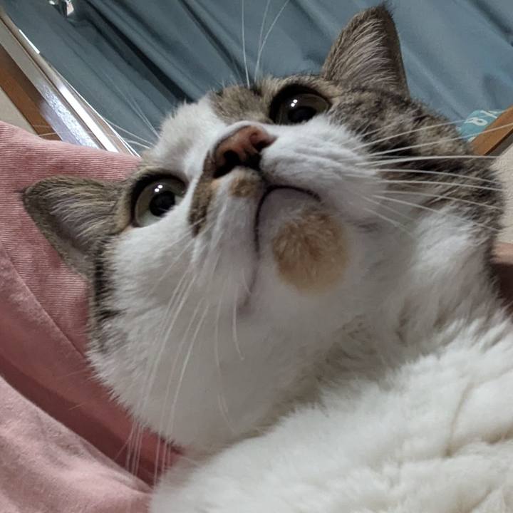 Aeeeea23 47f5 411b 8deb 07d08c491a6a 1757806824554