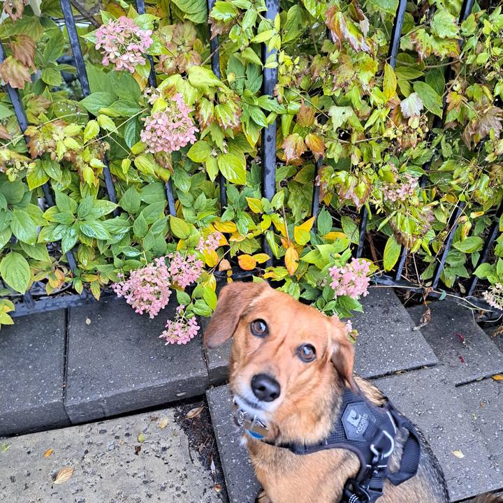 Aeef361a 8184 4989 a1b4 536fea6a2409 1761915948206