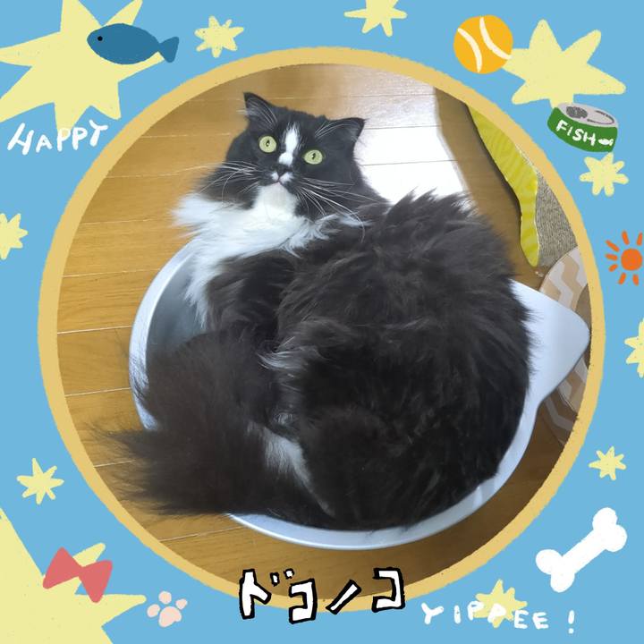 Aeef460a e62c 4692 b0c5 3aedf5815aec 1720869277498