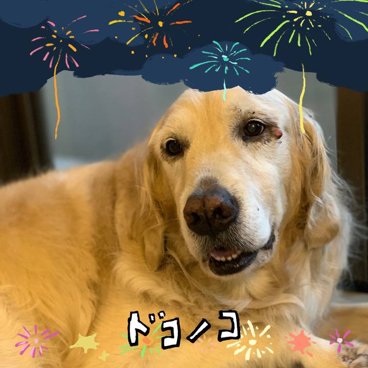 Aeef62fa 0e04 457c 86c3 36e2cf45e16a 1723255481342