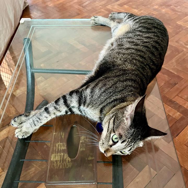 Aeef63c5 3f48 4186 b299 99225261c2c6 1764304268519