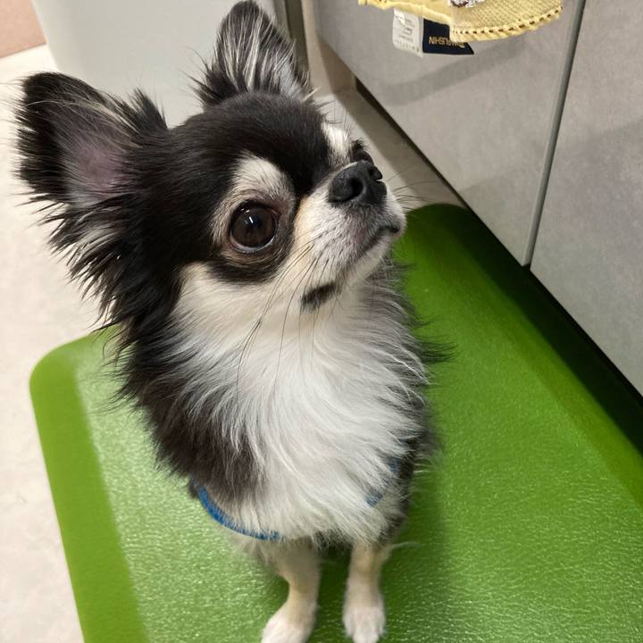 Aeef7729 6a6e 4a6d a5ec e23bbb960ad3 1653826220986