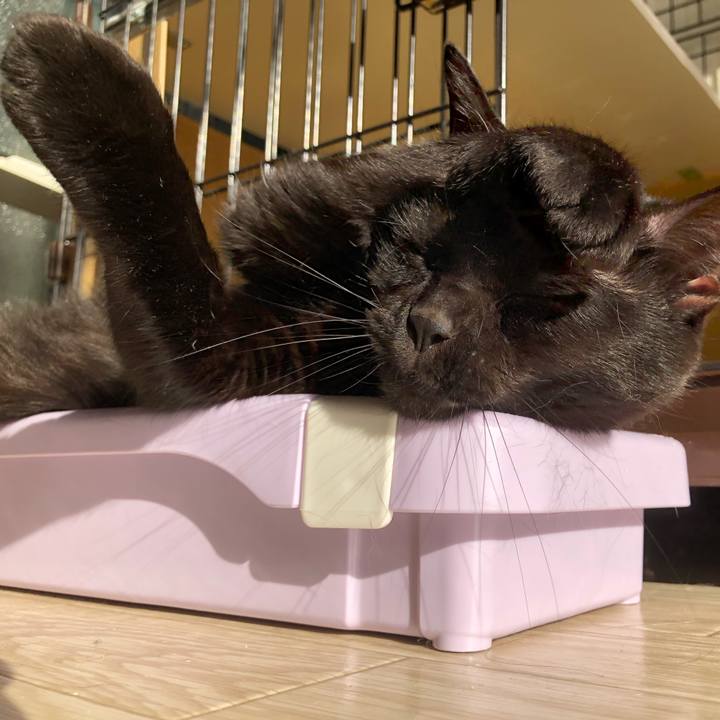 Aeef7c32 5448 4f9a 92d7 cb5c4599d0ea 1584054633710