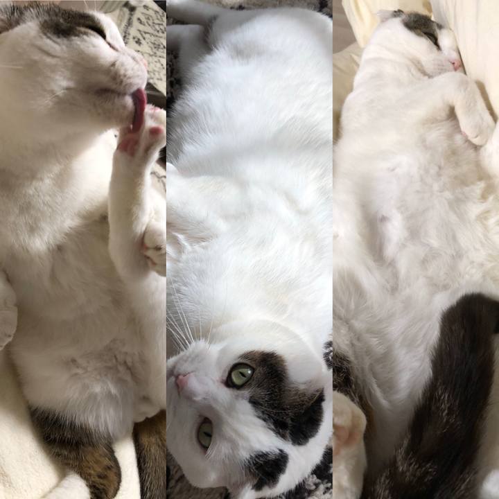 Aeef8585 f9a5 4fbb adee 3cfd245457be 1588042604019