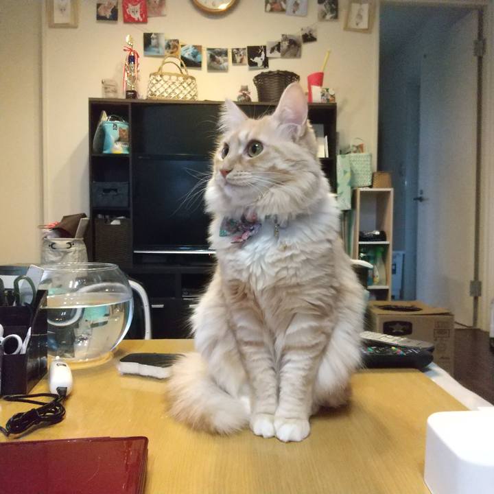 Aeef90aa a107 4016 9e01 35d6b62c359e 1640157574626