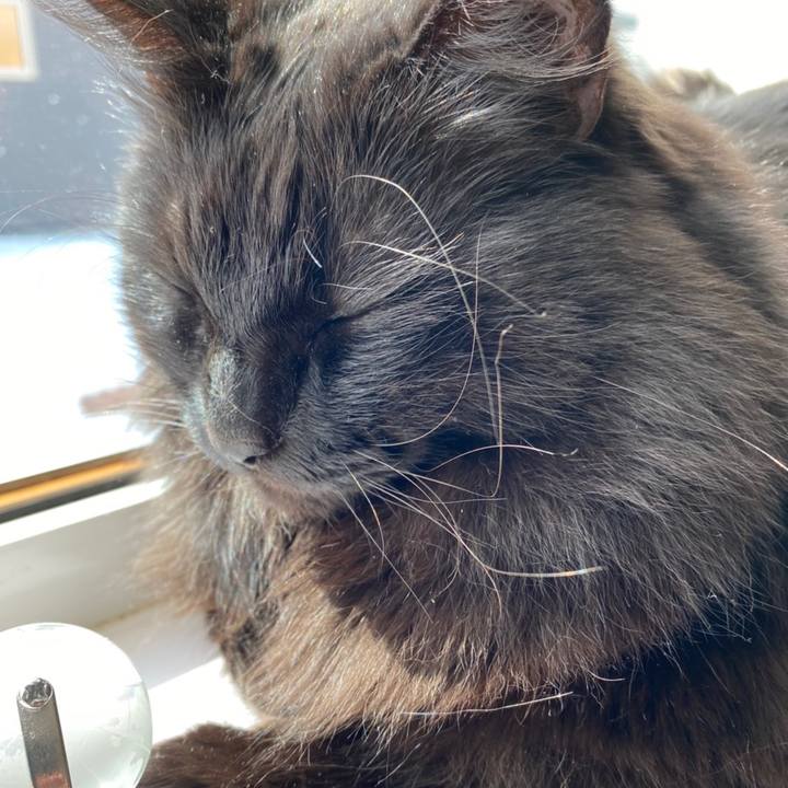 Aeeface4 b92b 4ecf 961d 2fd68ef6cc49 1615173076764