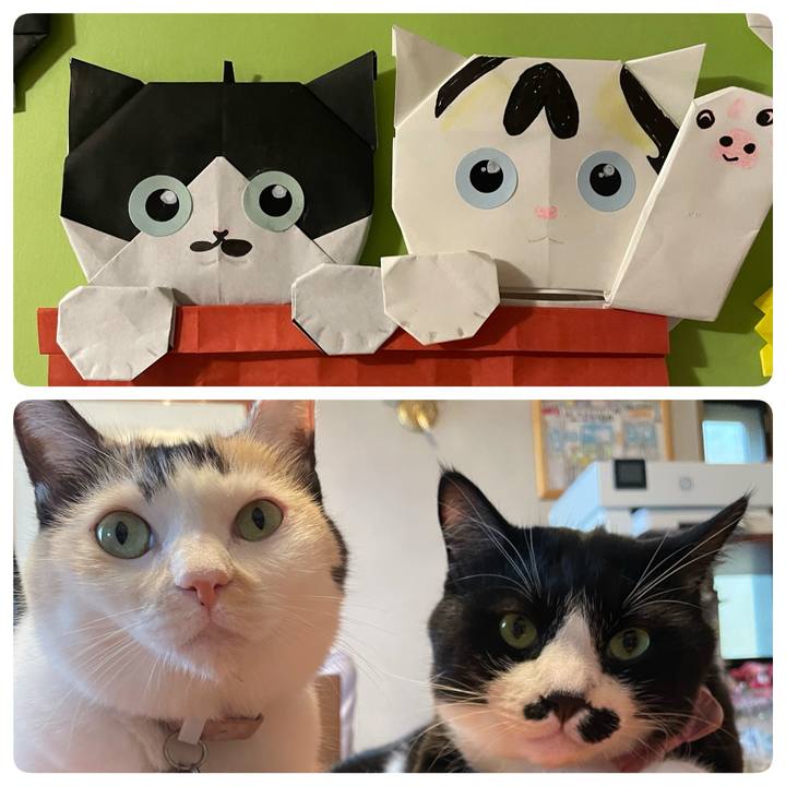 Aeefb562 99af 45bc bc89 c8351efbf6b8 1755855530303