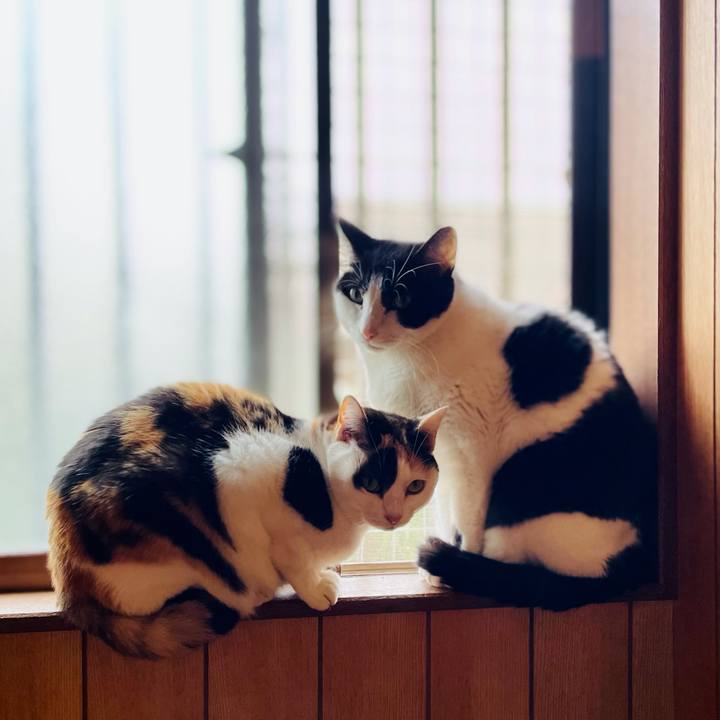 Aeefc9e9 988b 4b75 b835 b1fdd495c173 1615943780260