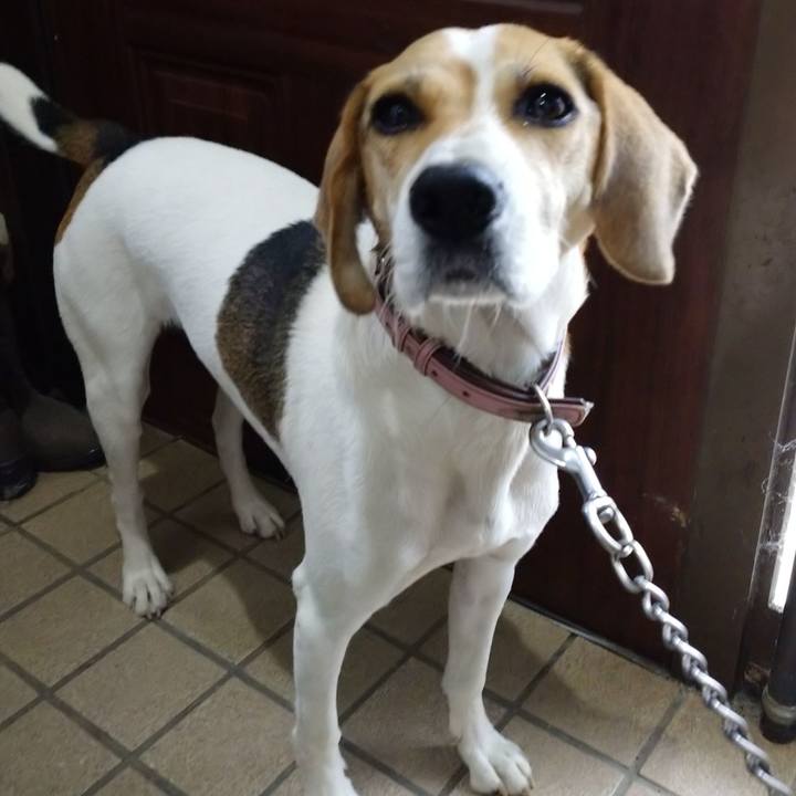 Aef005df 002b 46e0 94eb f796ed47a8f4 1602314919919