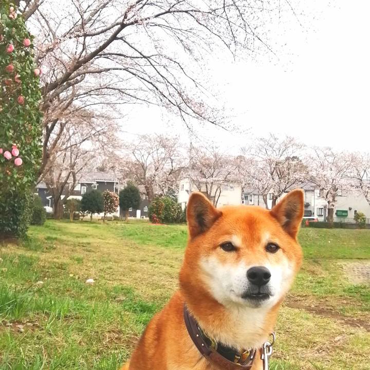 Aef07d1c 88f7 4114 b285 6a0f49590532 1616401087627