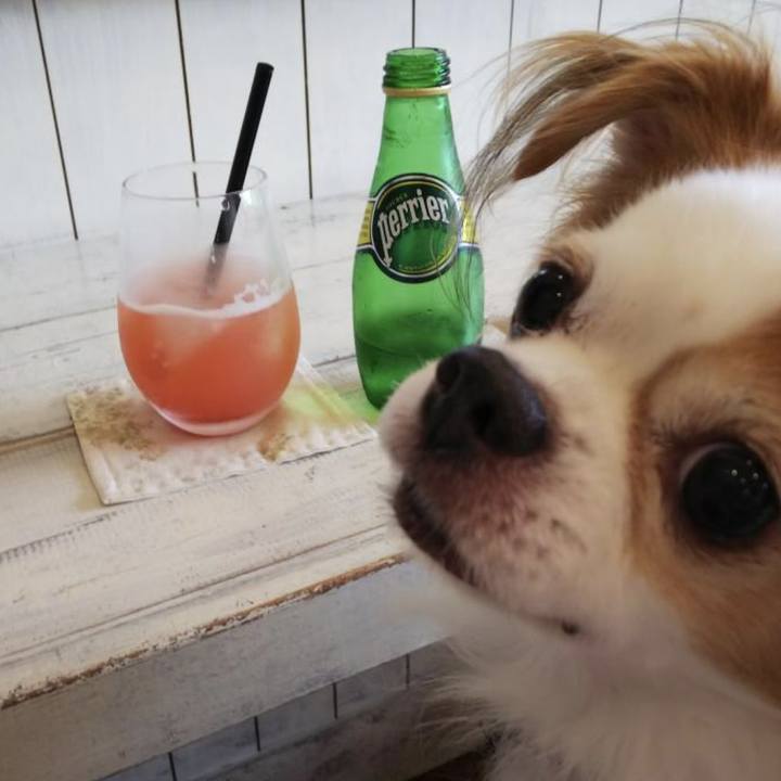 Aef0d093 1a4f 4cd9 861e 2c9f01f5e6f0 1685626037697