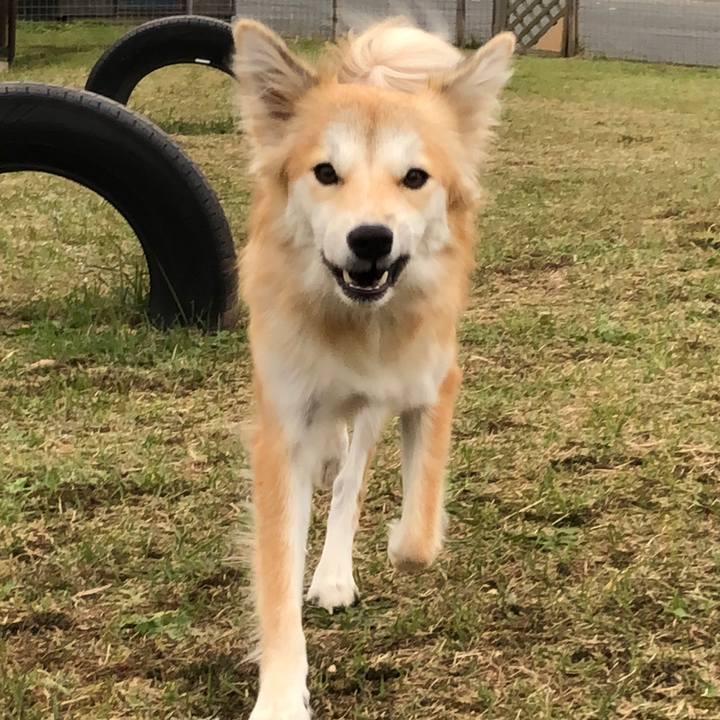 Aef0d229 af4a 4120 8b55 20c311928f41 1540250517017