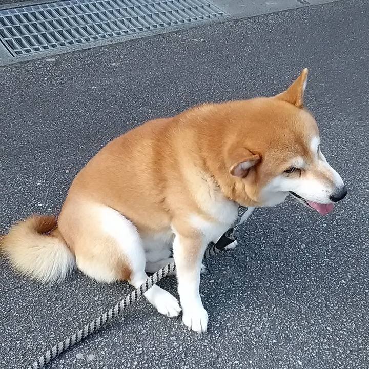 Aef0f829 86c6 4e27 822e 210ab776c7b4 1630453433209