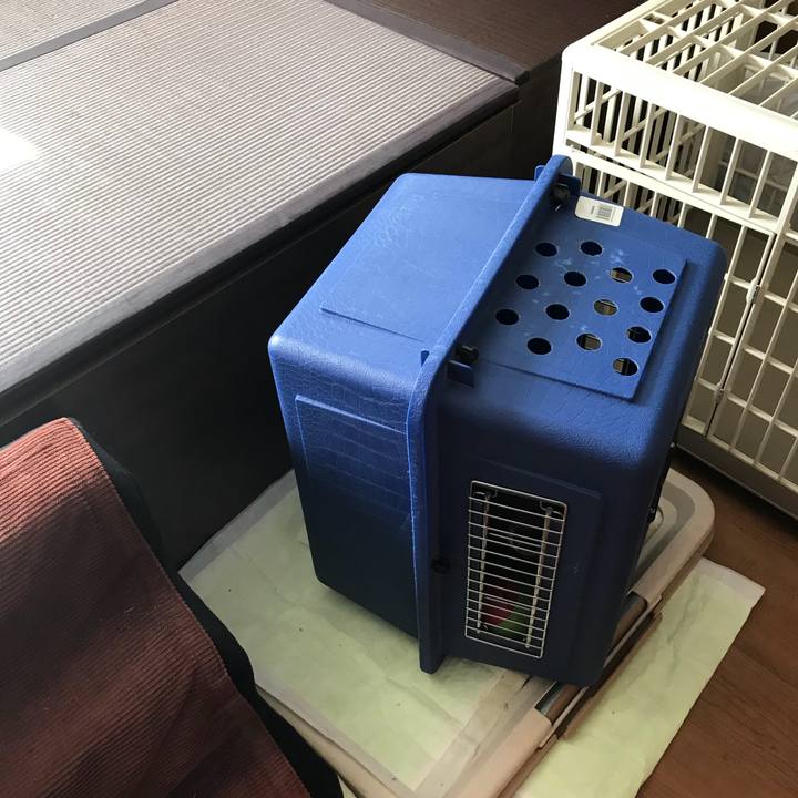 Aef0fc45 7da7 4d2f 8c6a e4b968c8e313 1518841174356