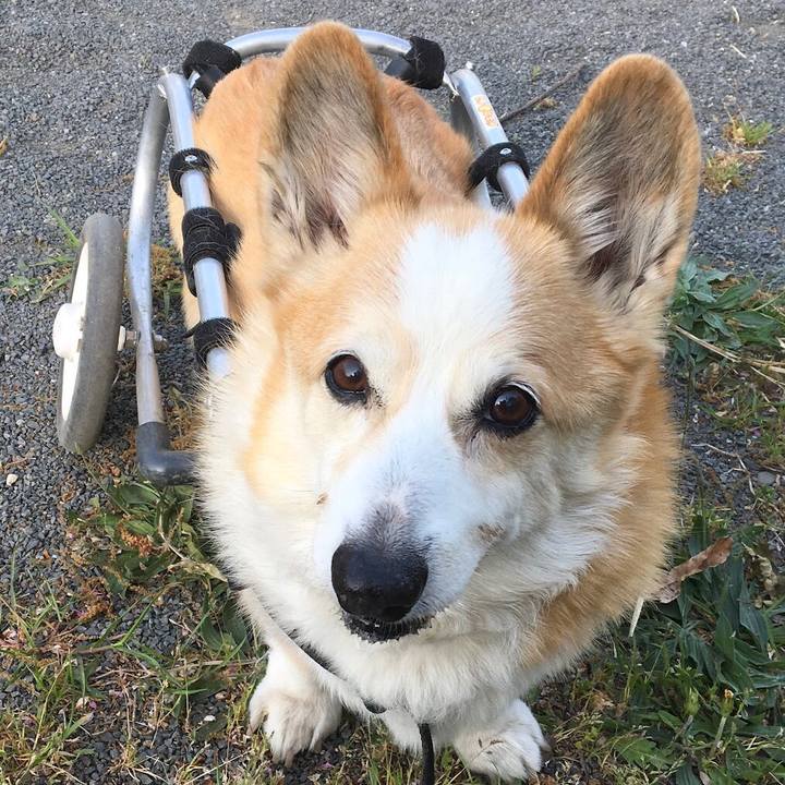 Aef10fd9 fce1 4a19 81a9 d7bc03128293 1660363806925