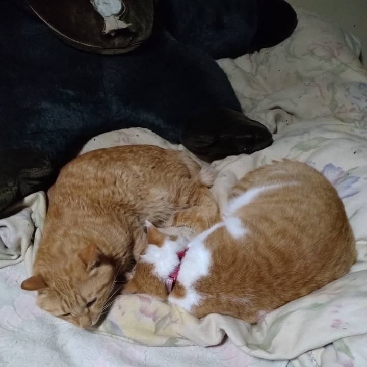 Aef14f0b 6cb5 4e69 a364 d553231444b8 1764329006227