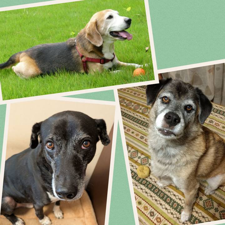 Aef15de4 ee55 47c0 b5bf b6f9ac5b65ae 1767143239818