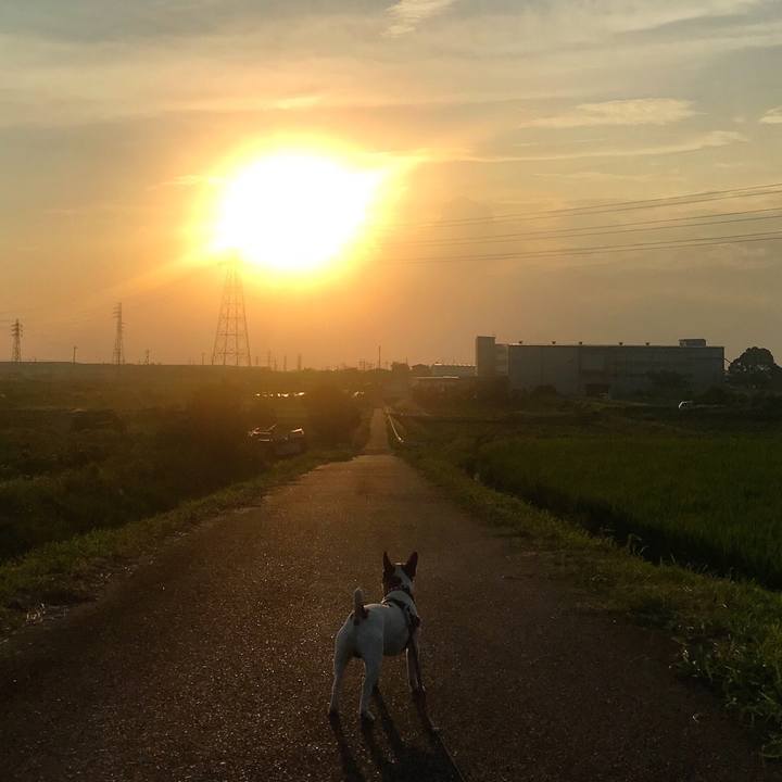 Aef16f1b 1355 4b8e 9976 50ca07069742 1535538084414