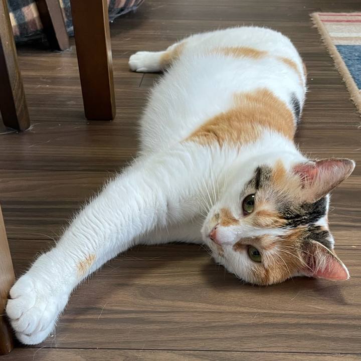 Aef19640 a347 4668 bfbf c90e1b8e2247 1656815889652