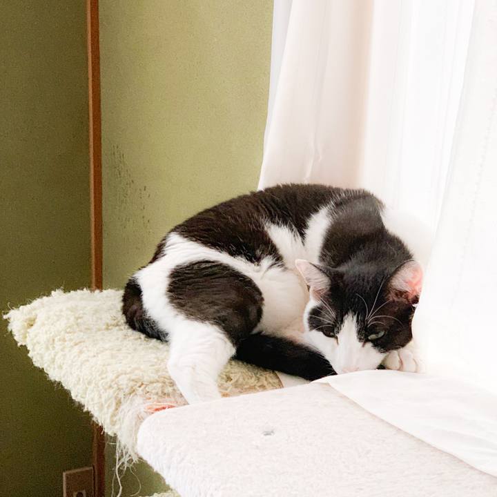 Aef1b080 26e4 4b08 96d2 1a98bbc053d8 1565227282315