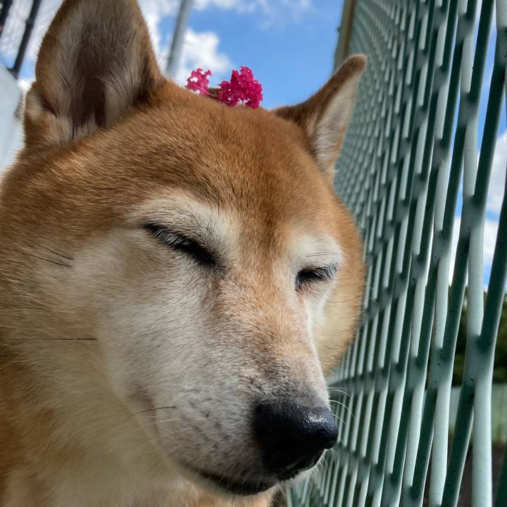 Aef1b2ea 3374 4ff2 9dda 44cd731c2470 1662458054020