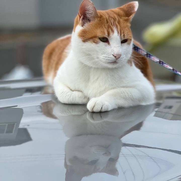 Aef1bd72 68bd 493d afe8 16d648c93f20 1657854774585