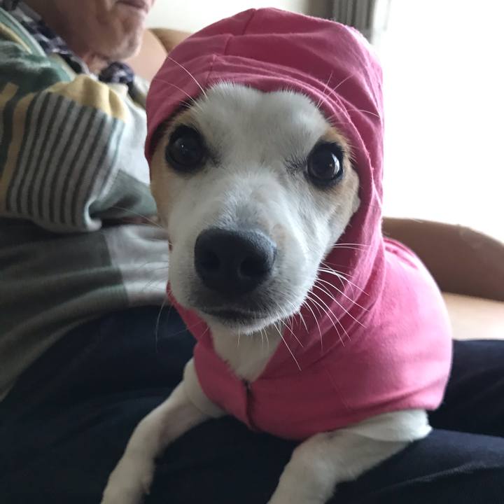 Aef1c533 03d1 4a70 b7ce d39529de2bf3 1603495275248