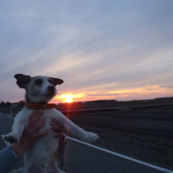 Aef1c7b4 84b7 48bf a2c2 2358cdba682f 1555162097524