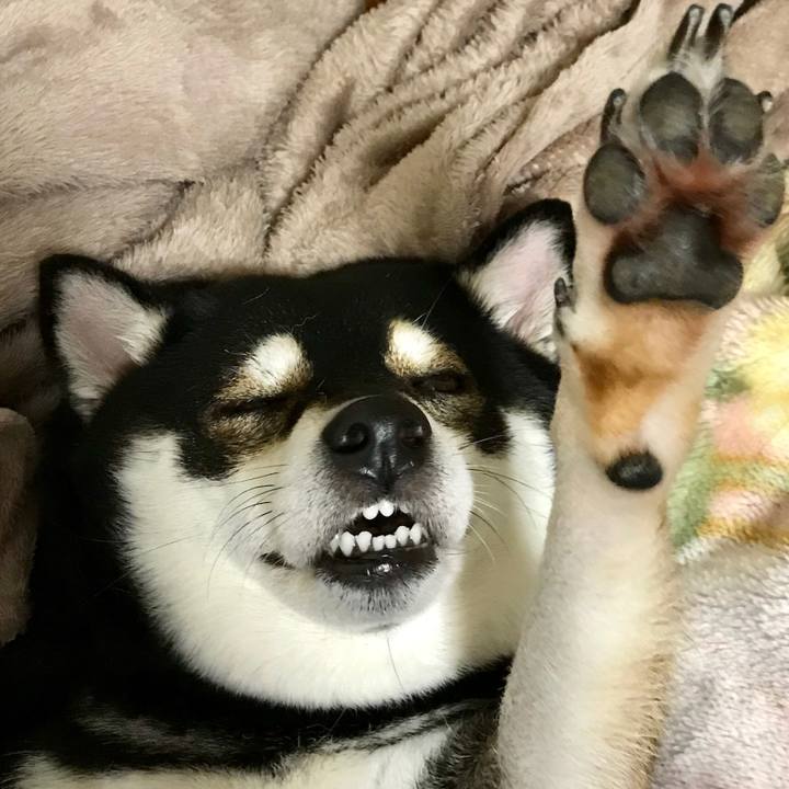 Aef1c84c e2c4 4aac ae0a f39df32b54e8 1512229027183