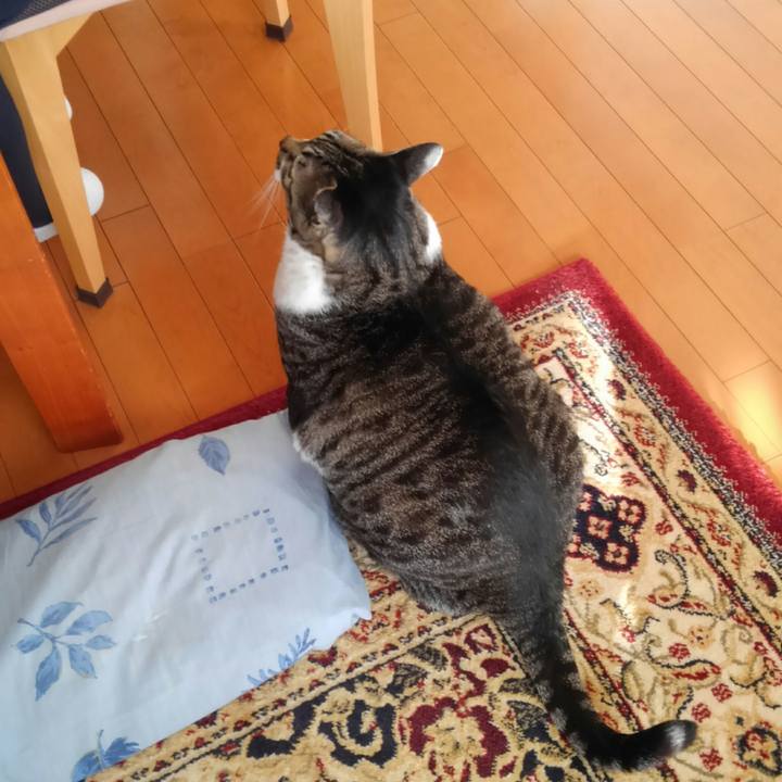 Aef1e420 af01 49cd 84e6 de25e4adeed6 1515800537192