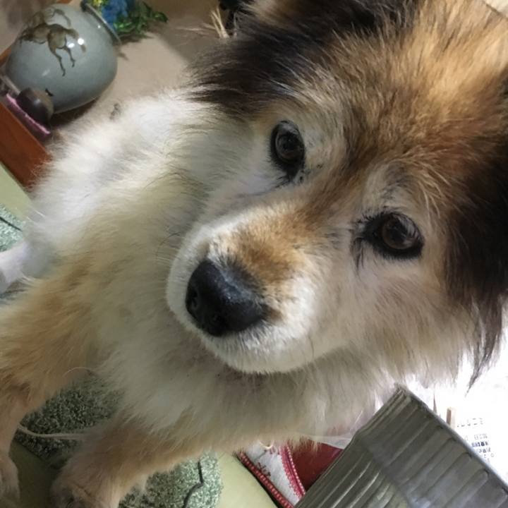 Aef1f301 79b6 4ae3 b078 463d10297218 1604596028723