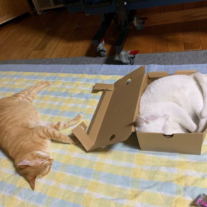 Aef20e20 6726 49d4 8bf8 109858717f27 1558200232162